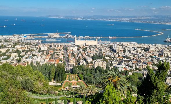 חיפה מלמעלה ועד הים: טיול קסום של נוף, בוטניקה והדר