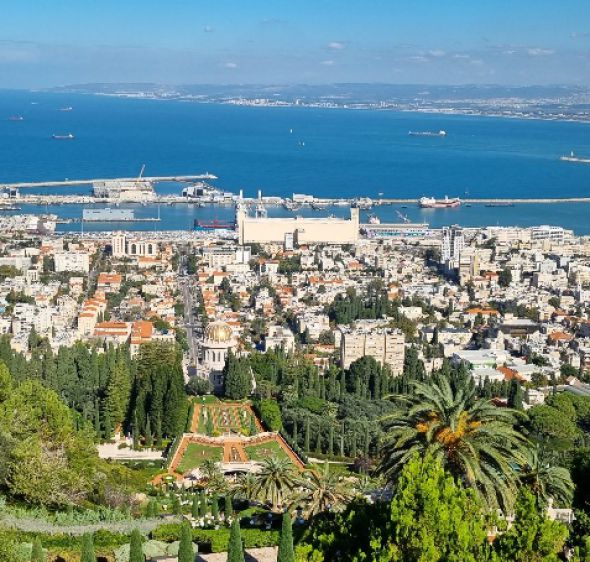 חיפה מלמעלה ועד הים: טיול קסום של נוף, בוטניקה והדר