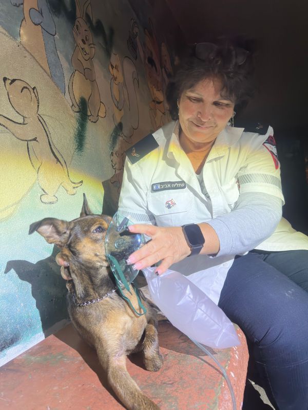 מרגש: פרמדיקים של מד"א הצילו כלב שנפגע בשריפה באשקלון