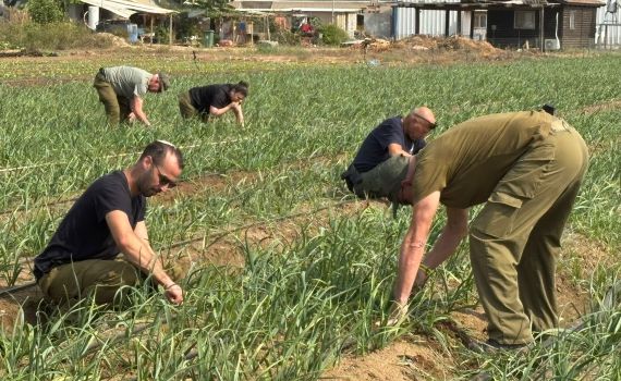 המסע של אוגדה 98: משנתיים של קרבות לעבודה בשדות