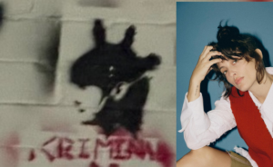 נגה ארז חושפת: איומים ואלימות מחוץ להופעה במקסיקו סיטי