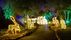 אתם תהיו בירושלים אבל תרגישו בחו"ל: הפסטיבל שמבטיח - ומקיים