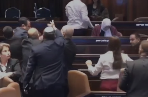 תיעוד: כמעט מכות בין הח"כים במליאת הכנסת