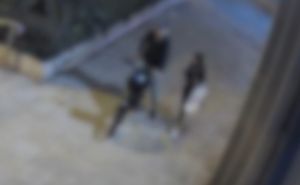 פוענח הרצח האכזרי של שירלי יהודה: "הצית - ונמלט באופניים"