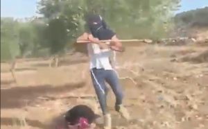 כתב אישום: תושב מאחז עוז יאיר היכה ערבייה עם מוט עץ