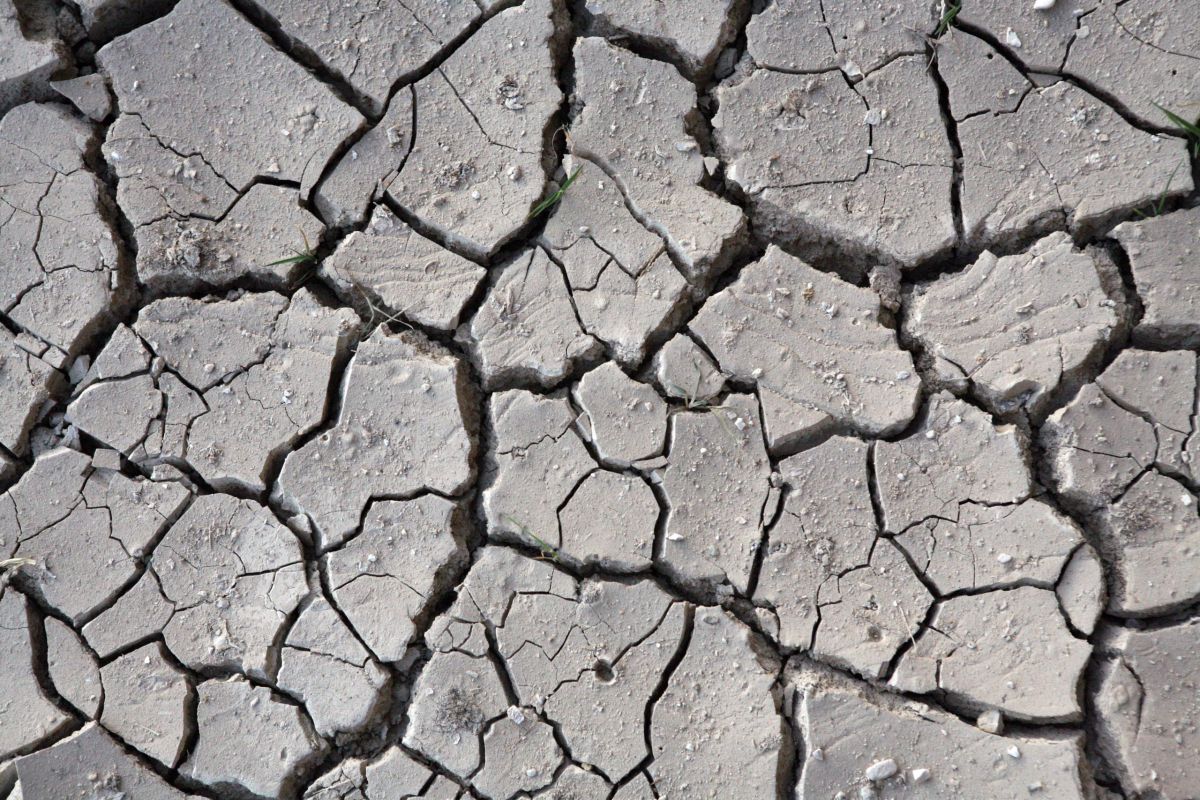 חבר פרלמנט באיראן: הבצורת בגלל נשים לא צנועות