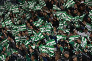 בשורה אדירה לאוהדי מכבי חיפה: בית המשפט אישר את תביעת הענק