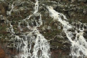 "הכניסה מסוכנת": משרד הבריאות הודיע על נחלים מזוהמים בצפון