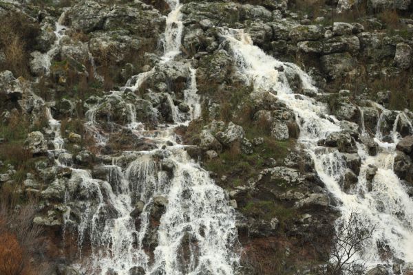 "הכניסה מסוכנת": משרד הבריאות הודיע על נחלים מזוהמים בצפון