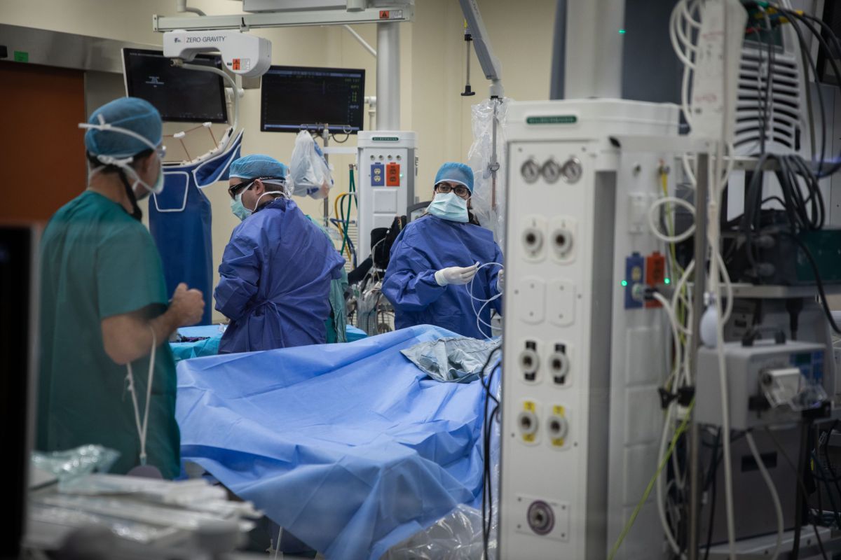 ניתוח חדשני מציג: השתלת אלמוגים לשיקום הסחוס