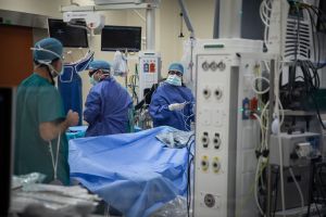 ניתוח חדשני מציג: השתלת אלמוגים לשיקום הסחוס