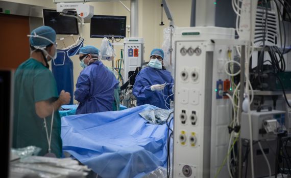 ניתוח חדשני מציג: השתלת אלמוגים לשיקום הסחוס