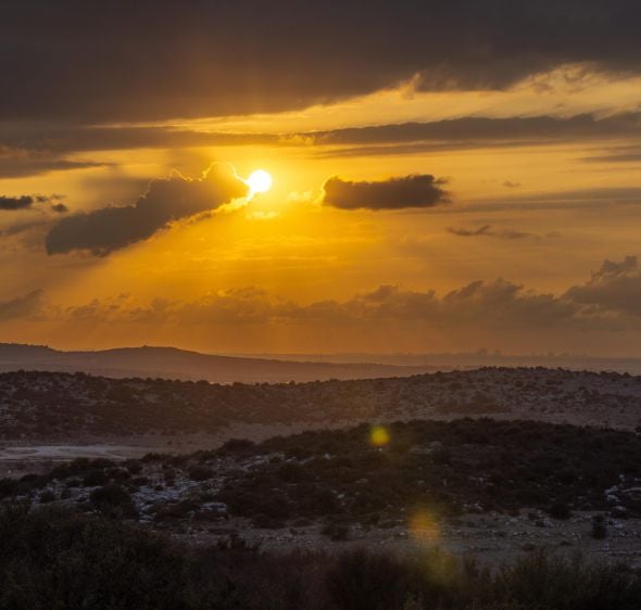 בין 443 לקרבות החשמונאים: מודיעין הופכת ליעד תיירותי