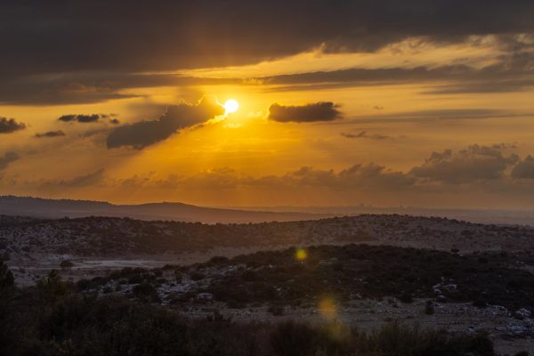 בין 443 לקרבות החשמונאים: מודיעין הופכת ליעד תיירותי