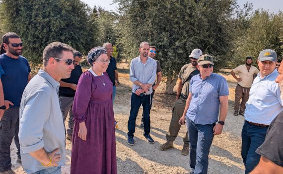 התגובה לרחפנים: סטרוק בתכנית לחיזוק פתחת ניצנה