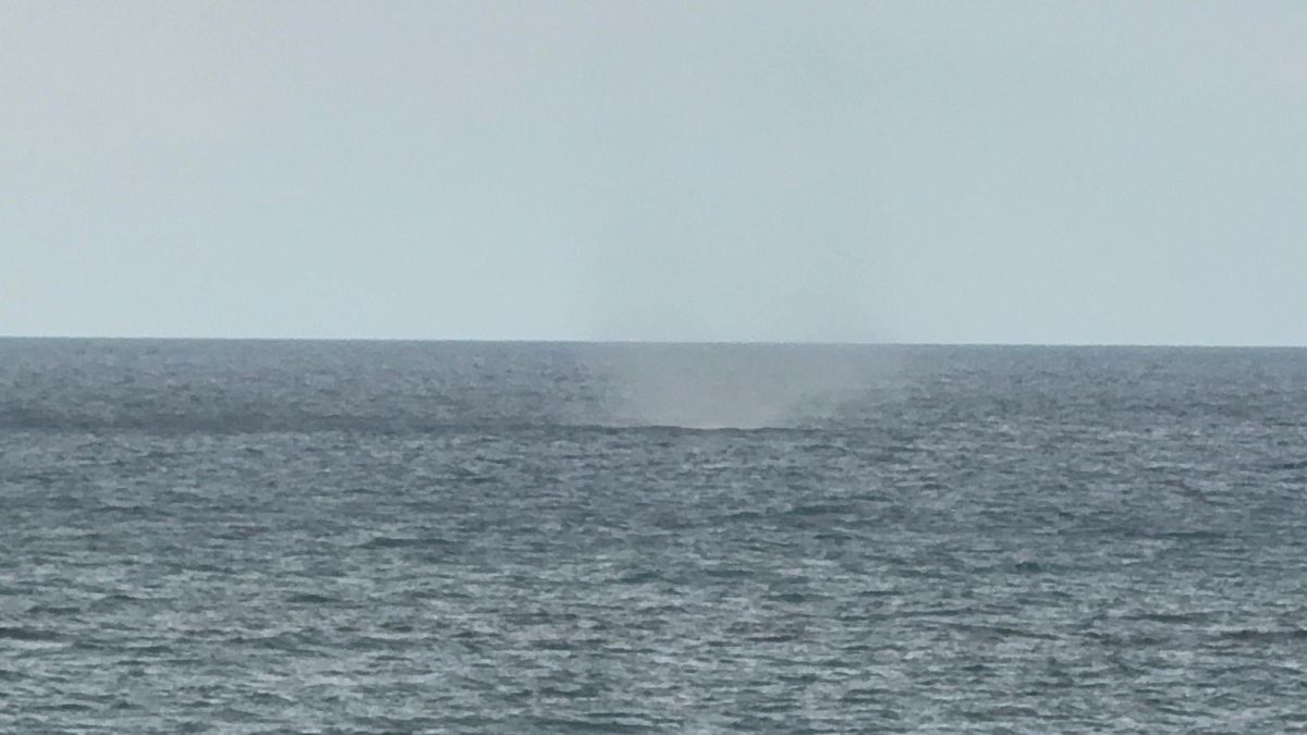 לקראת הסערה: תופעת טבע נדירה תועדה בצפון