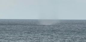 לקראת הסערה: תופעת טבע נדירה תועדה בצפון