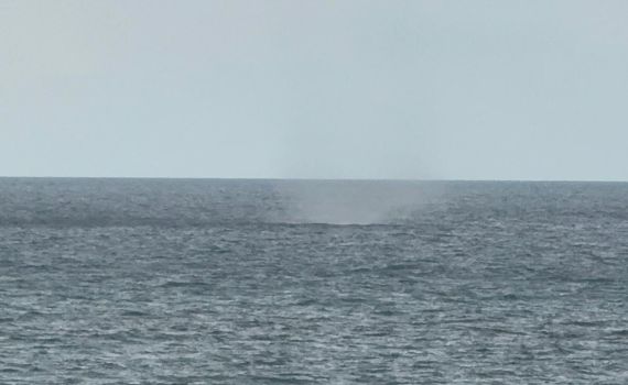 לקראת הסערה: תופעת טבע נדירה תועדה בצפון