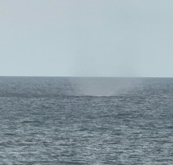 לקראת הסערה: תופעת טבע נדירה תועדה בצפון
