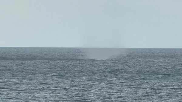 לקראת הסערה: תופעת טבע נדירה תועדה בצפון