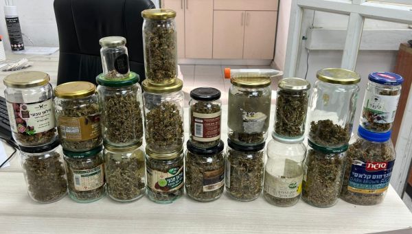 איש אקדמיה נעצר. זו הסיבה