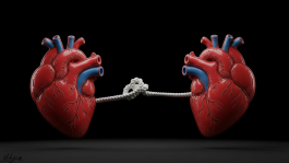 “להיות איתה באמת: סודות ההתמקמות הזוגית”