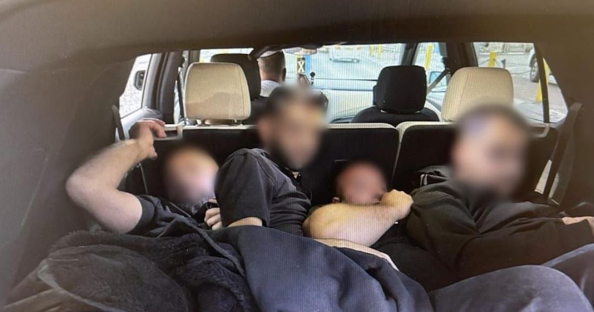 תיעוד הזוי: השב