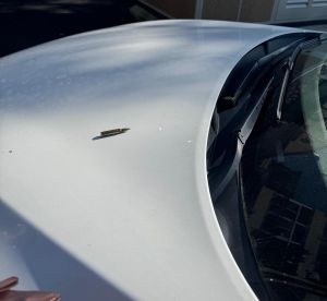 איום ברצח: קליע הונח על רכבה של מנהלת לשכתו של בן גביר