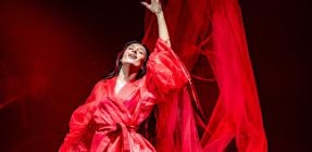 סערת הלבוש בפסטיגל: "שכחו שזה מופע לילדים ולא למבוגרים"