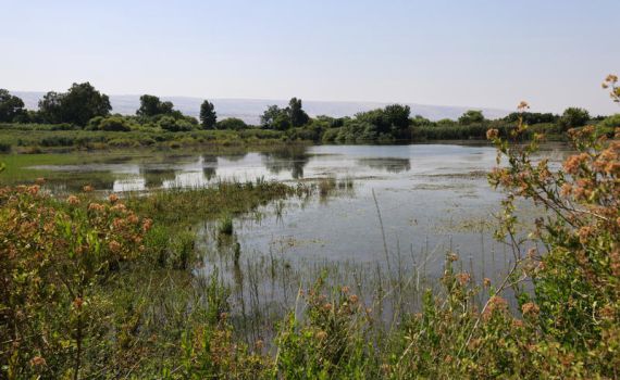 משרד הבריאות מזהיר: הכניסה לכאן מסוכנת