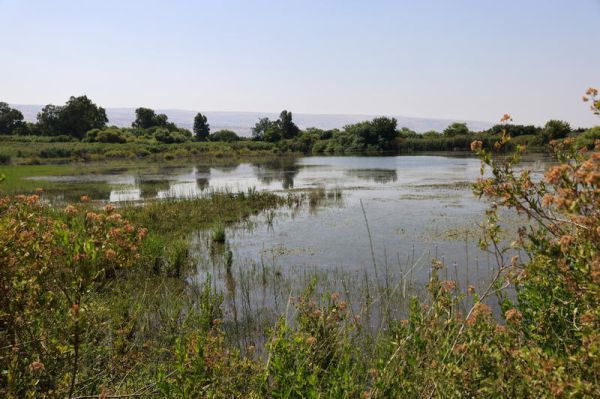 משרד הבריאות מזהיר: הכניסה לכאן מסוכנת