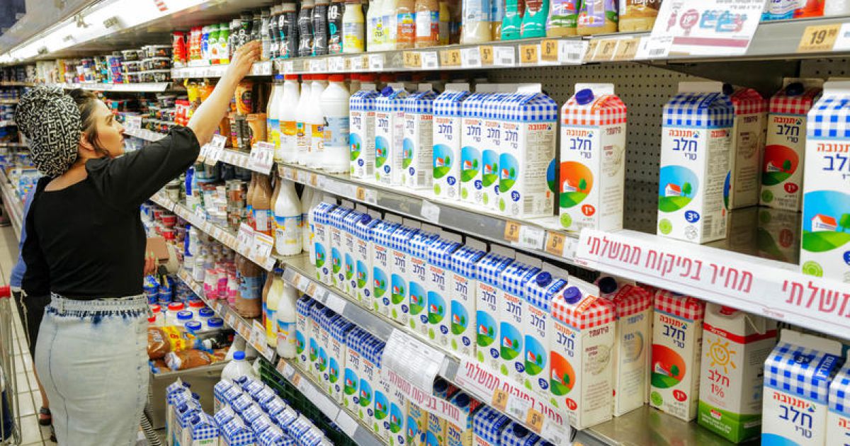 חשש ממחסור בחלב: רפתנים מאיימים לשבות במחאה על הרפורמה