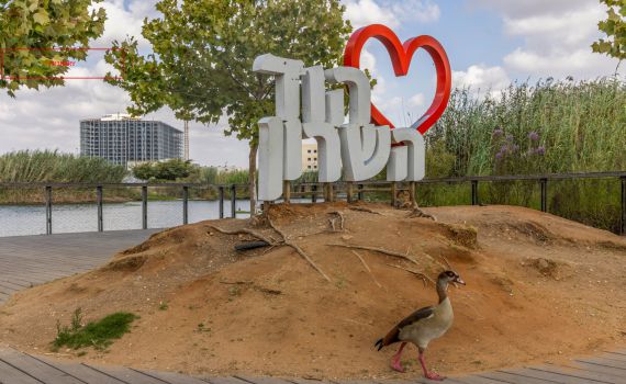 אנשי המחאה מקדמים מינוי רב עיר מהגרעין התורני בהוד השרון