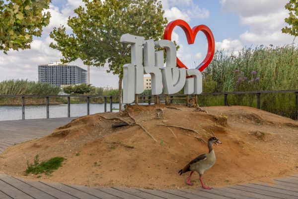 אנשי המחאה מקדמים מינוי רב עיר מהגרעין התורני בהוד השרון