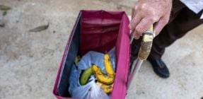 צדקה, צדק חברתי ומשבר זהות: מה דוח העוני מזכיר לנו על עצמנו