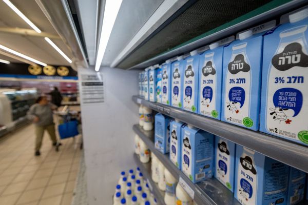 הרפורמה בחלב מגיעה לכיפות ברזל: קולחוז סובייטי או שוק חופשי?