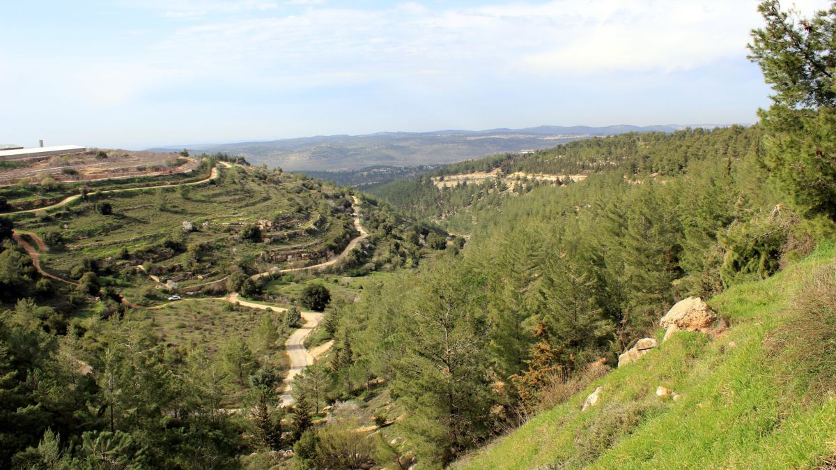 מברק היסטורי נחשף: משואות החנוכה של גוש עציון 1945