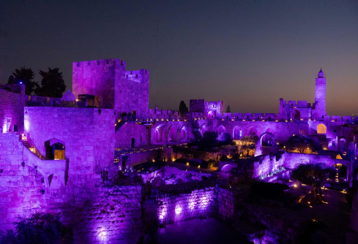 כ-100,000 פצועי מלחמה והמדינה נצבעה בסגול למענם