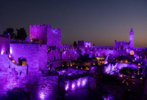 כ-100,000 פצועי מלחמה והמדינה נצבעה בסגול למענם