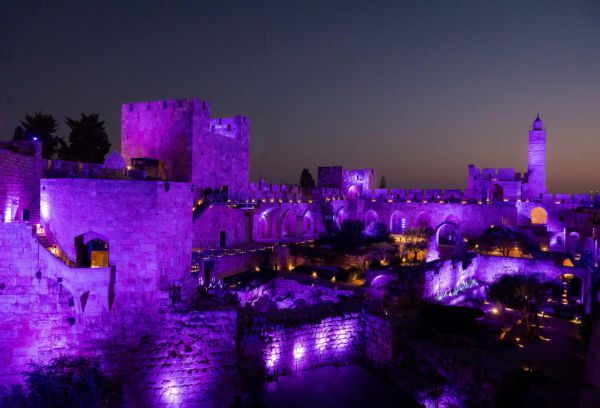 כ-100,000 פצועי מלחמה והמדינה נצבעה בסגול למענם