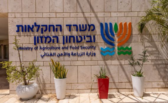 שינוי מדיניות: הכנסת תוצרת חקלאית מהרש״פ תעוכב עד לבדיקה