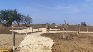 טבע בלב העיר: פארק אקולוגי חדש נחנך בכפר סבא