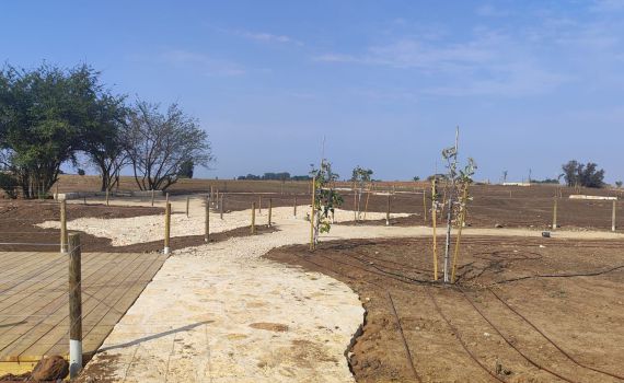 טבע בלב העיר: פארק אקולוגי חדש נחנך בכפר סבא