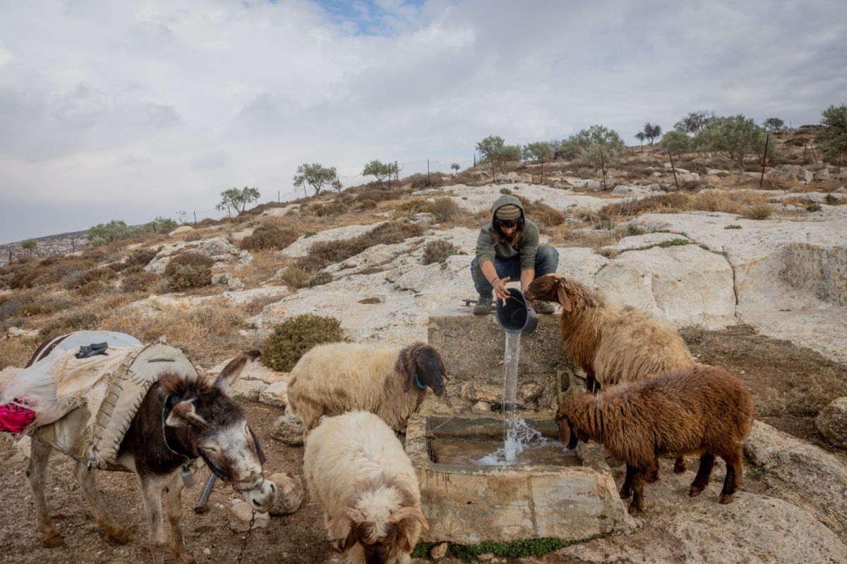 לאחר שתקפו רועה צאן בבנימין: הפעילים הזרים יסולקו מישראל