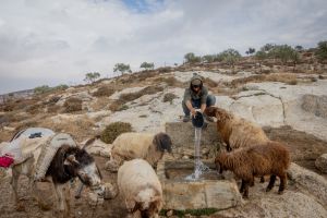 לאחר שתקפו רועה צאן בבנימין: הפעילים הזרים יסולקו מישראל