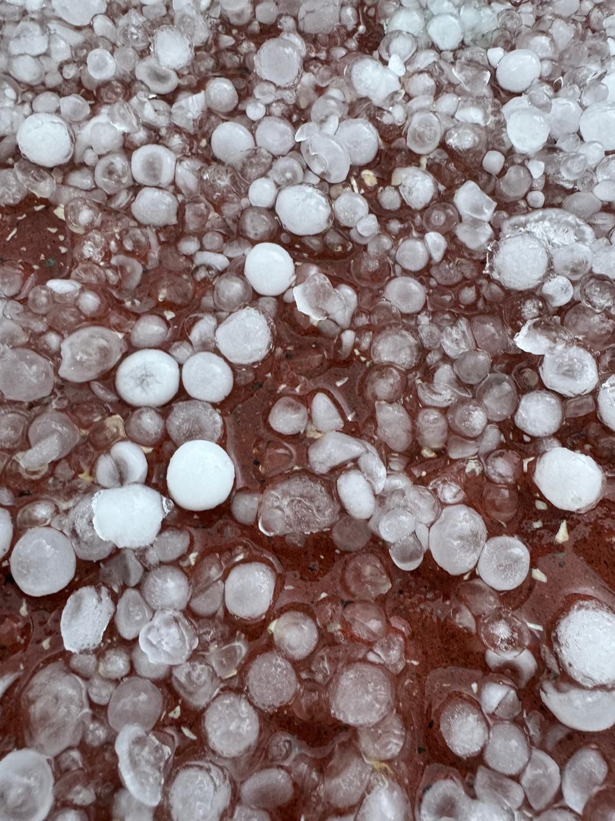 מזג האוויר הסוער: עצים קרסו בעכו ובכרמיאל; כבישים נחסמו