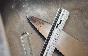 אישה דקרה את בן זוגה ואיימה לרצוח אותו: "הילדים יראו את זה"