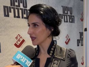 "לא אעשה סדרה עם קותי": מגי אזרזר בראיון כנה לסרוגים