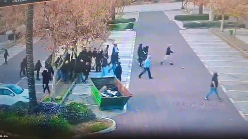 רימוני צה"ל ואלות – 24 אוהדי הפועל ת"א מועמדים לדין | תיעוד