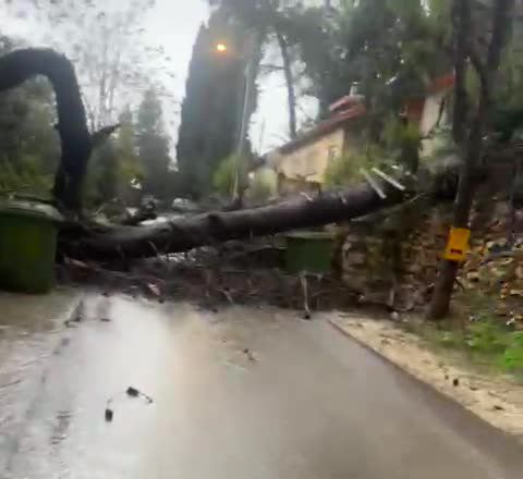 בעקבות רוחות סוערות: קו חשמל נקע בבית זית | תיעוד